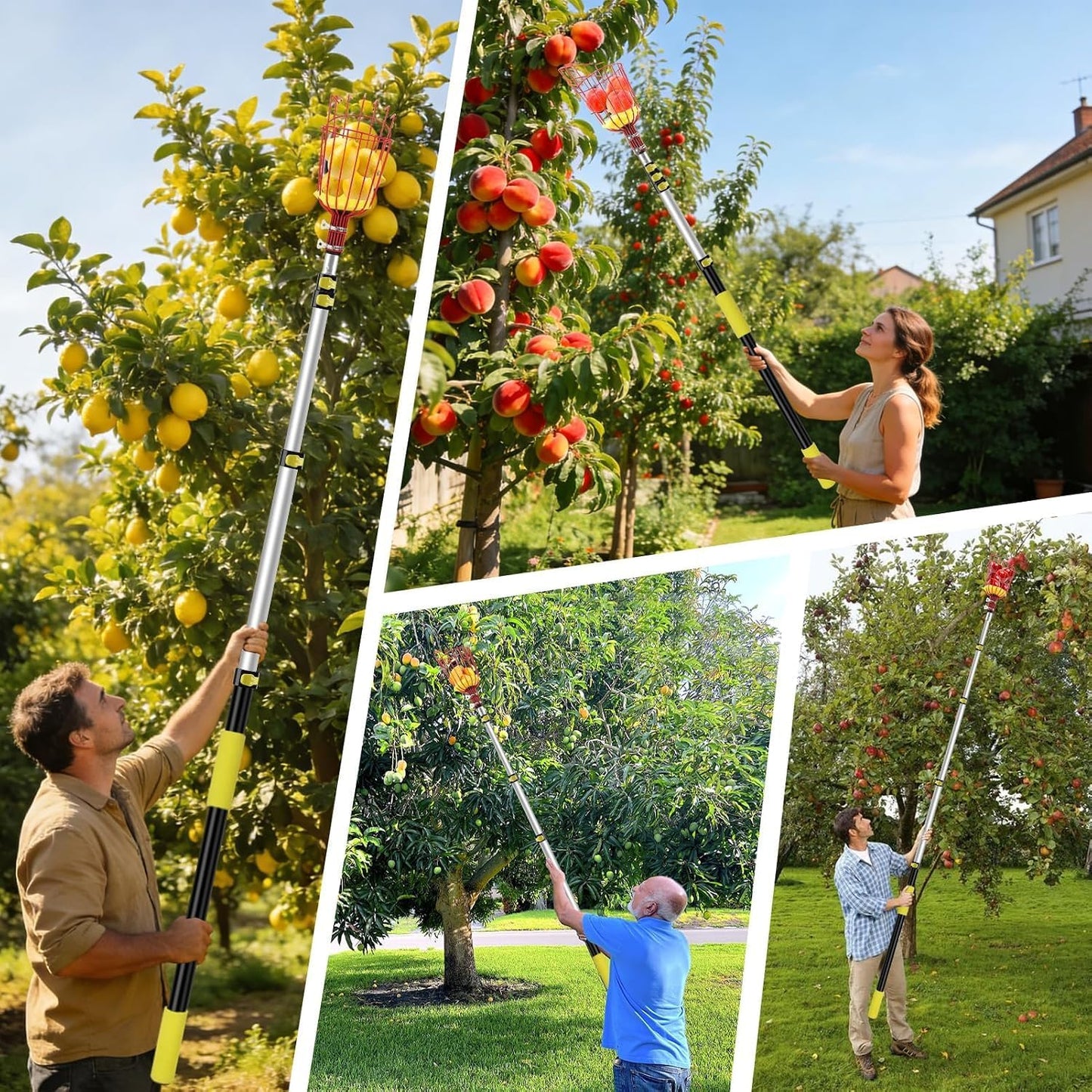 Fruit Picker with Basket, Apple Picking Tool Telescoping Pole