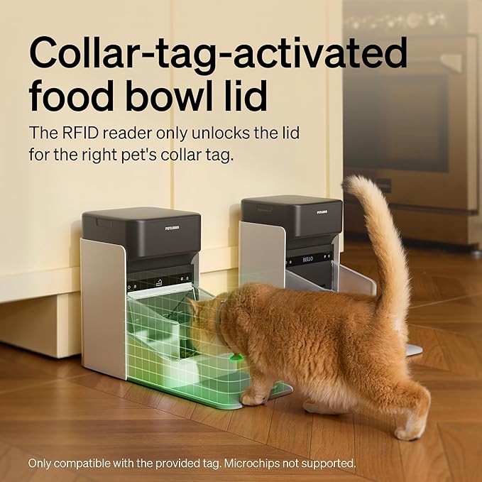 PETLIBRO RFID Automatic Cat Feeder, Collar Sensor-Activated Personalized Meals - Image 2