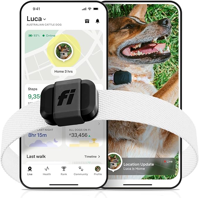 Fi Mini GPS Tracker for Dogs — 12-Month Membership Included — Smart Pet by FiSmartCollar