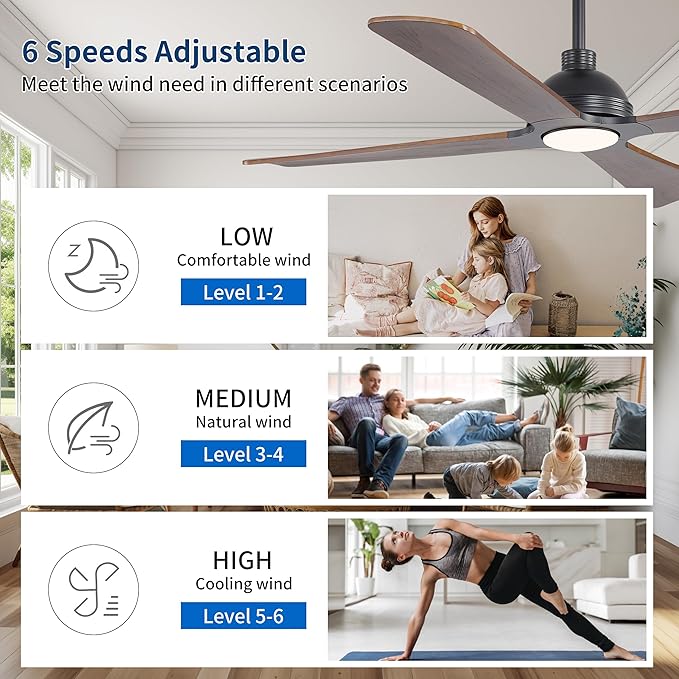 WINGBO 56 Inch DC Ceiling Fan - Image 6