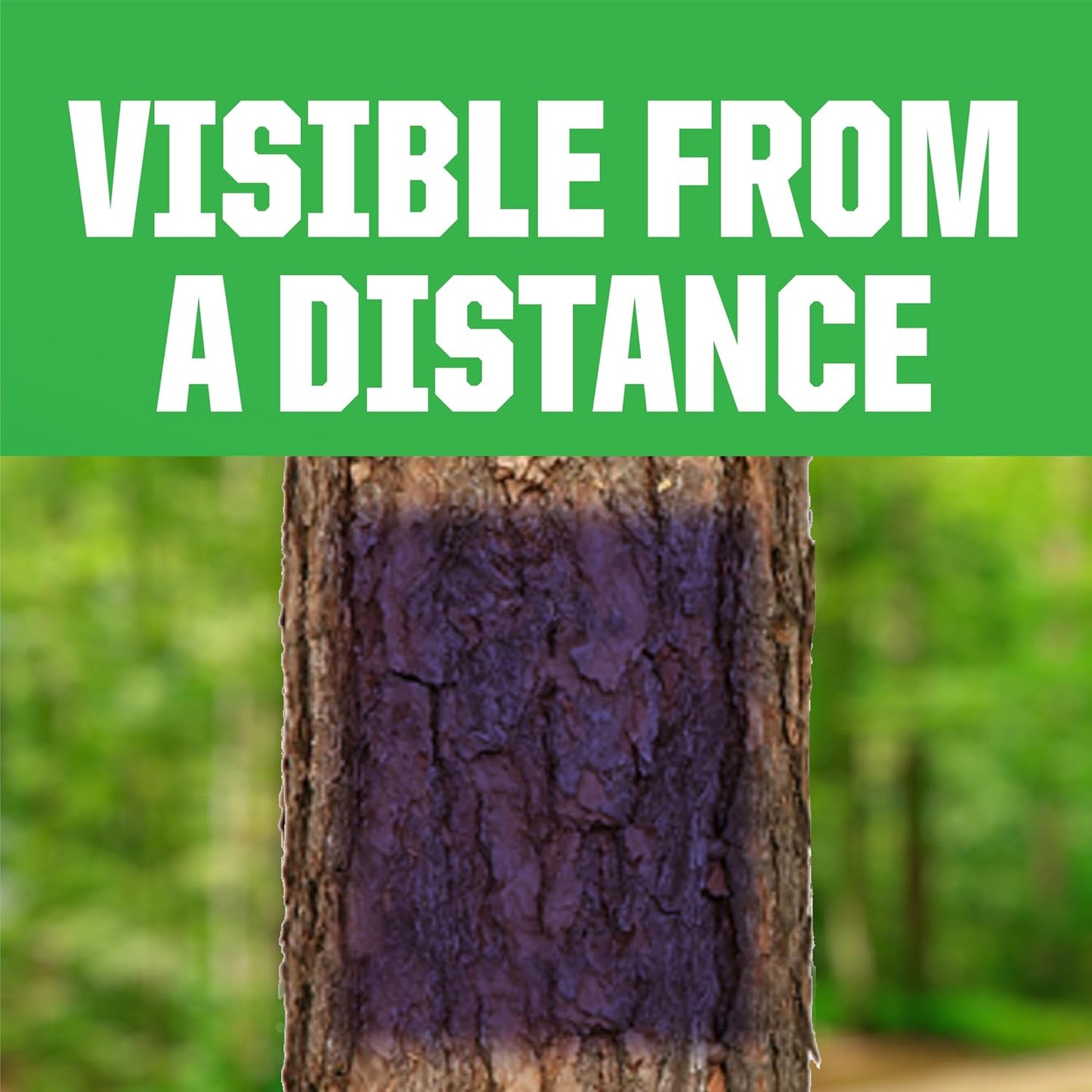Rust-Oleum No Hunting Purple Spray Paint | Boundary Marking Paint, Property Line Identification, High Visibility Finish, Outdoor Use, 12 Oz