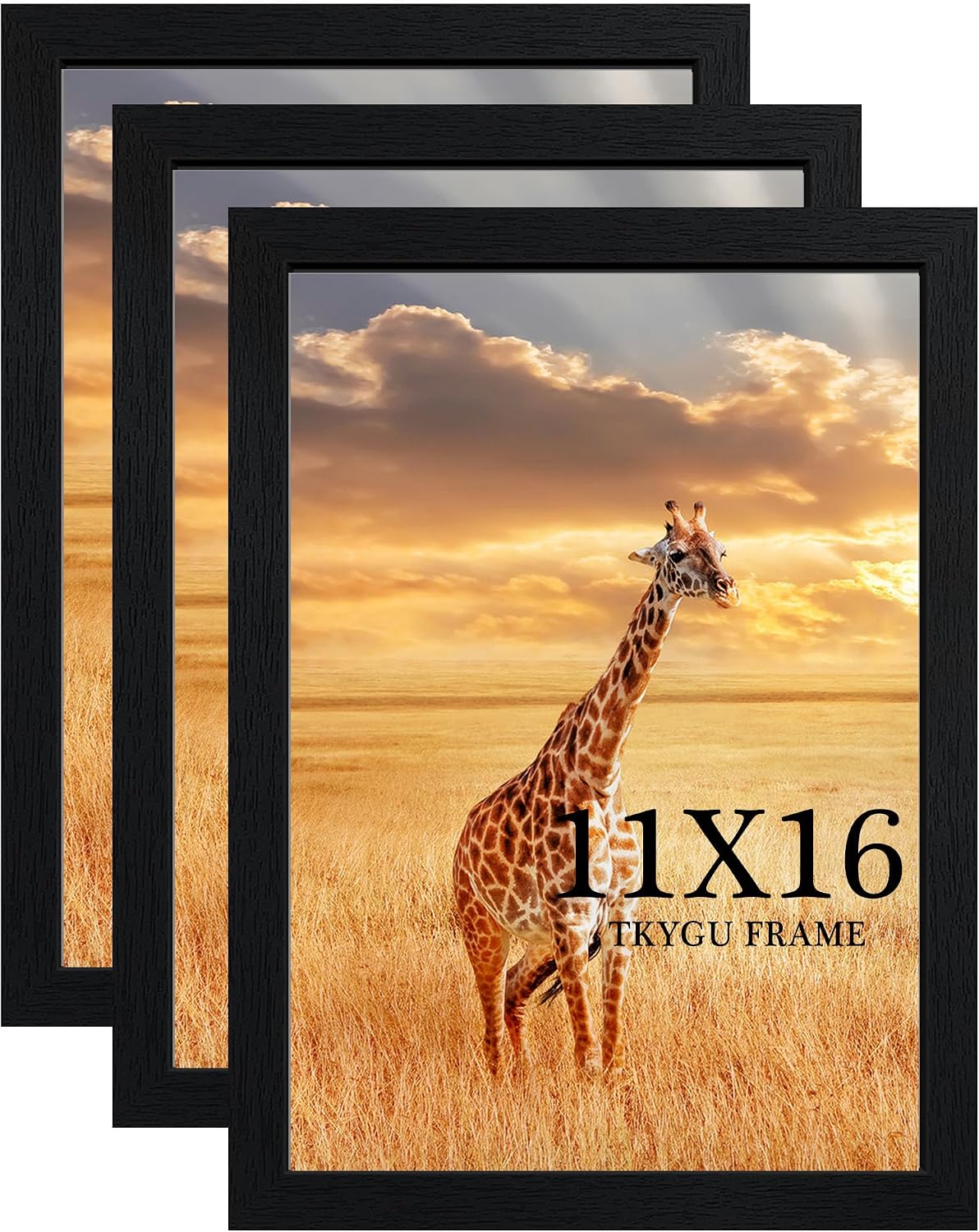 TKYGU 11x16 Picture Frame Set of 3, Wooden Frame 11x16 Wall Gallery Poster