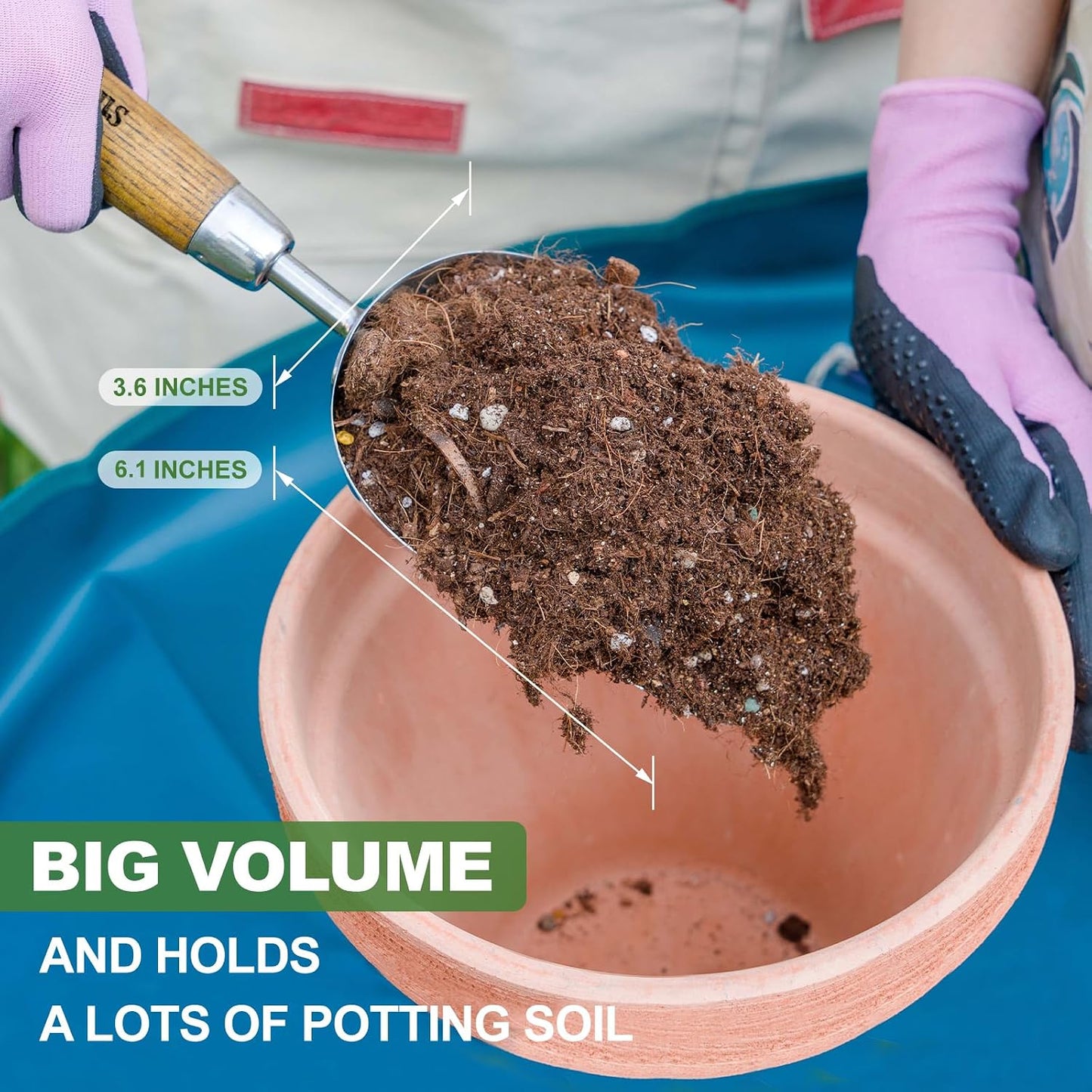 Haliaeetus Potting Soil Scoop, Bend Proof Stainless Steel Gardening Scoop | 1 Cup Big Volume Garden Soil Scoop, Comfortable Wood Handle Soil Scoop for Transplanting, Cultivation,Composting and Planting