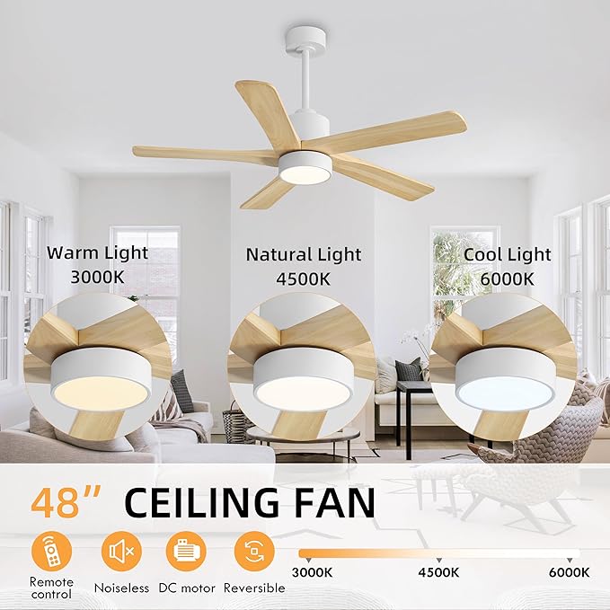 WINGBO 48 Inch DC Ceiling Fan - Image 5