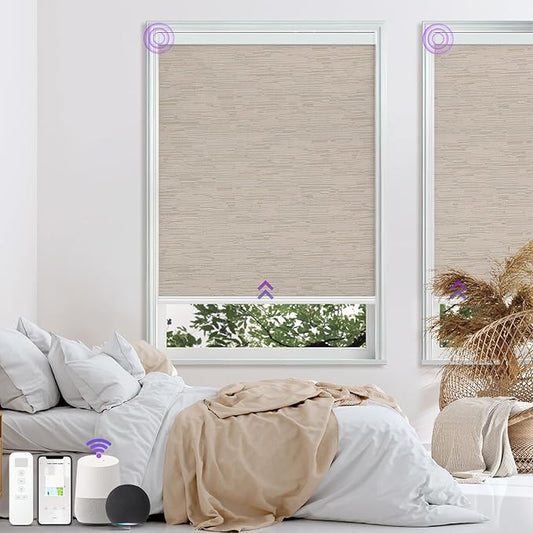 Astomi Motorized Roller Shades for Windows, Smart Blinds, Voice Control by Astomi