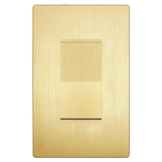 LIDER Brushed Gold Minimalist Design Decorator Switch by LIDER