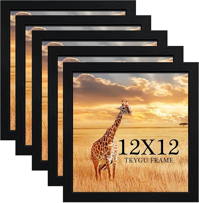 TKYGU 12x12 Picture Frame Set of 5, Horizontal and Vertical Formats by TKYGU
