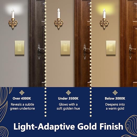 LIDER Minimalist Design Matte Finish Lighted Decorator Switch - Image 7