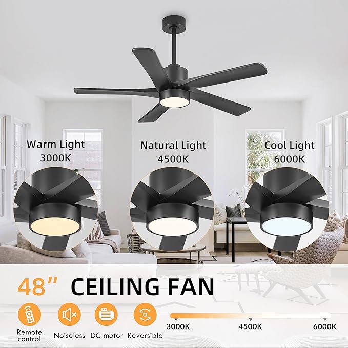 WINGBO 48 Inch DC Ceiling Fan - Image 5