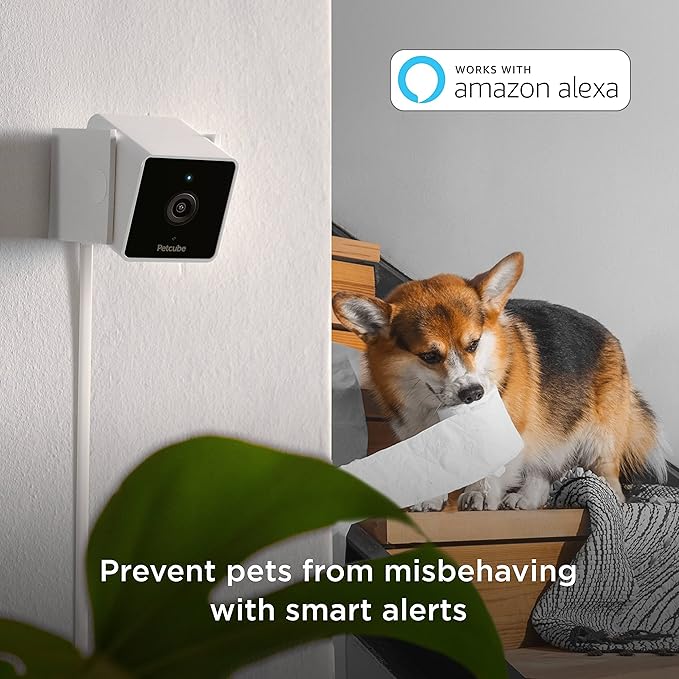 Petcube Cam Indoor Home Security Camera - Image 4