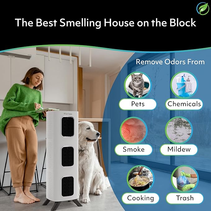 Air Oasis iAdaptAir 2.0 H13 HEPA Filter Air Purifier Reduces 99% of Viruses - Image 4