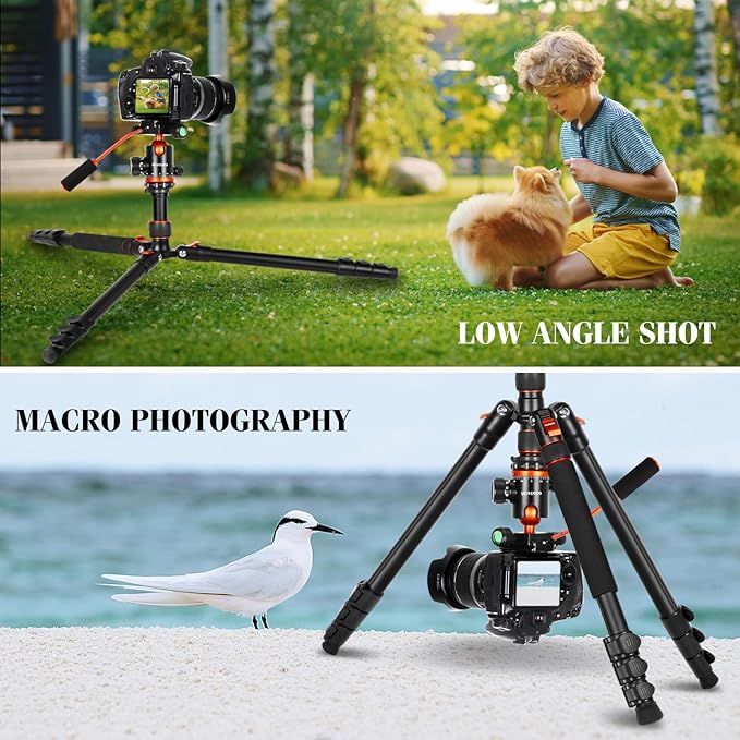 Nietoto Camera Tripods & Projector Stand, 2 in1 Tripod - Image 8
