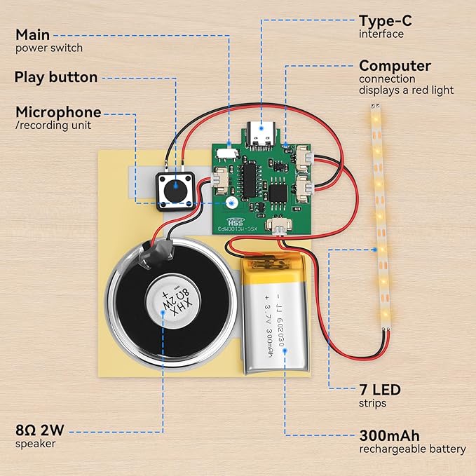 1PCS Customize Recording Module - Image 6