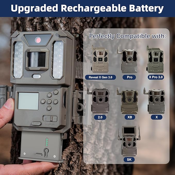Lesaps 4Pack Rechargeable Reveal Lipo Lithium Battery Pack - Image 3