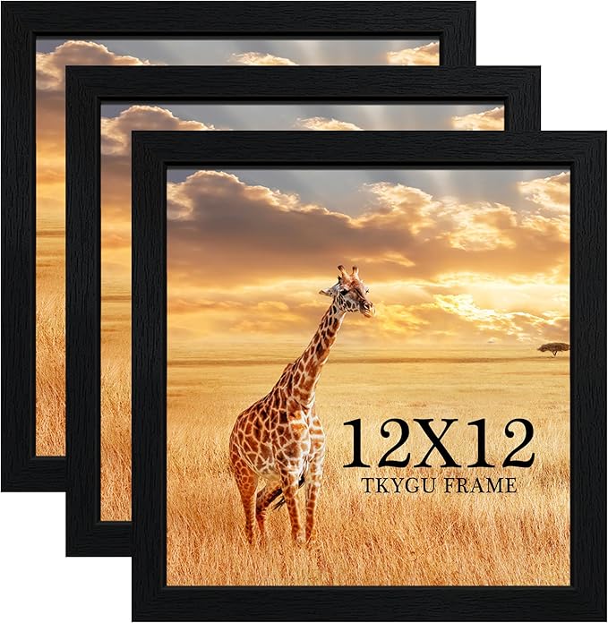 TKYGU 12x12 Picture Frame Set of 3, Horizontal and Vertical Formats by TKYGU