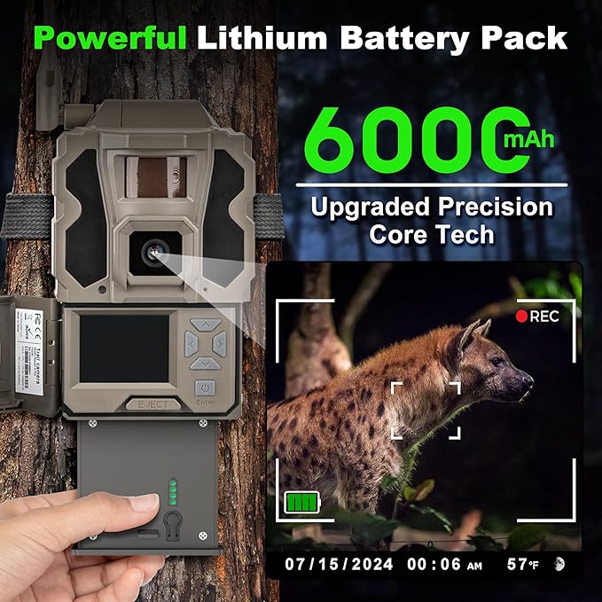Lesaps 4Pack Rechargeable Reveal Lipo Lithium Battery Pack - Image 2