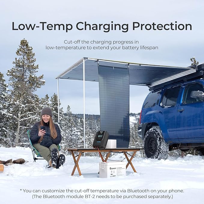 Renogy Solar Charge Controller -Rover 30A 12V24V Auto DC Input MPPT Charge - Image 3