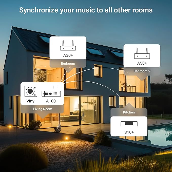 Arylic A100 Wireless Full Digital HiFi Amplifier - Image 9