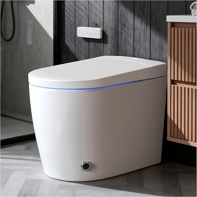 WANSID Compact Smart Toilet by WANSID