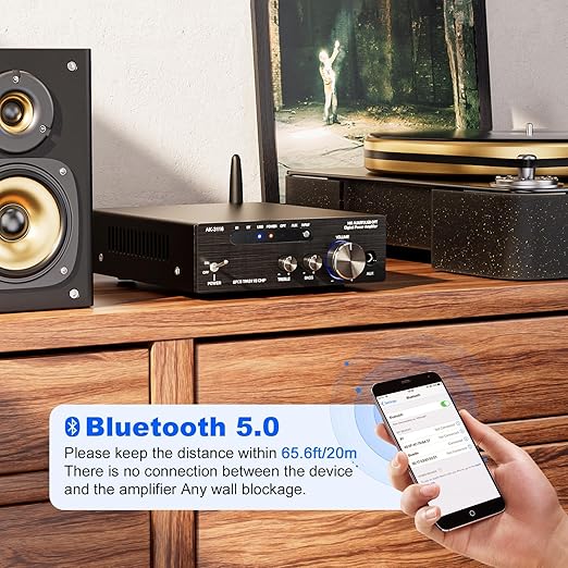Facmogu AK-3116 HiFi Digital Amplifier, Mini Amp Audio System - Image 3
