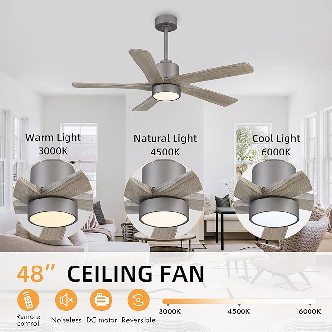 WINGBO 48 Inch DC Ceiling Fan - Image 5