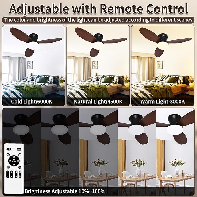 Glowall Small Ceiling Fan with Lights and Remote, Small Quiet, DC Motor - Image 4