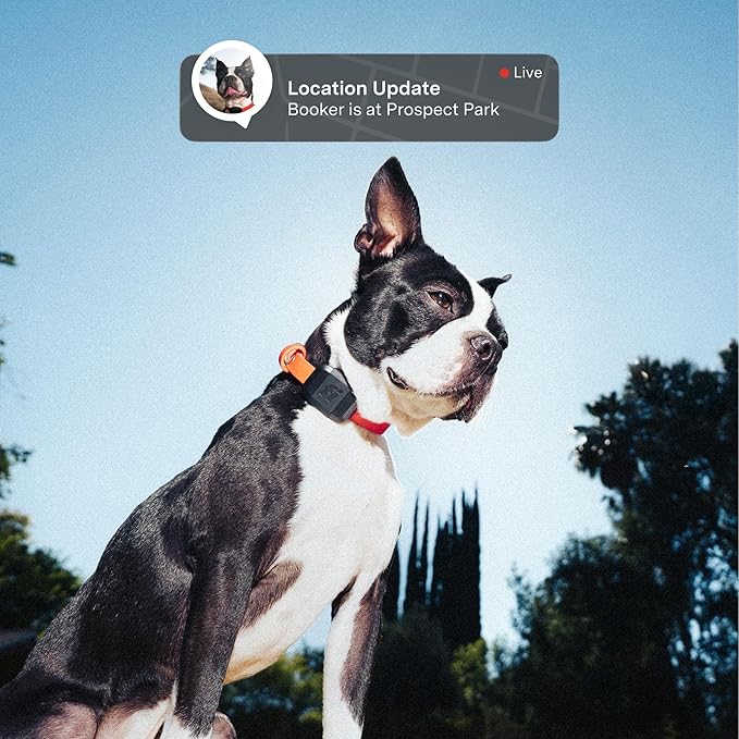 Fi Mini GPS Tracker for Dogs — 12-Month Membership Included — Smart Pet - Image 2