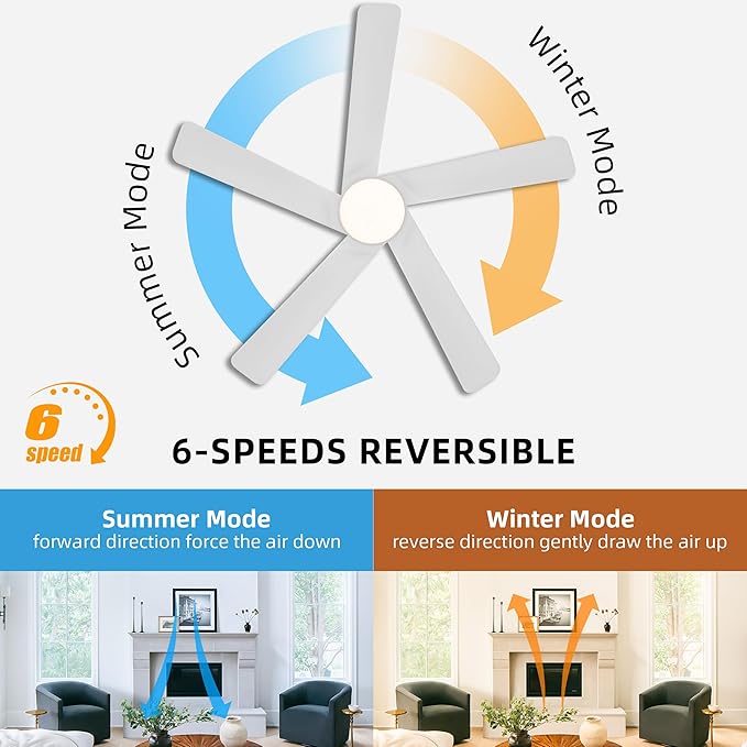 WINGBO 48 Inch DC Ceiling Fan - Image 3