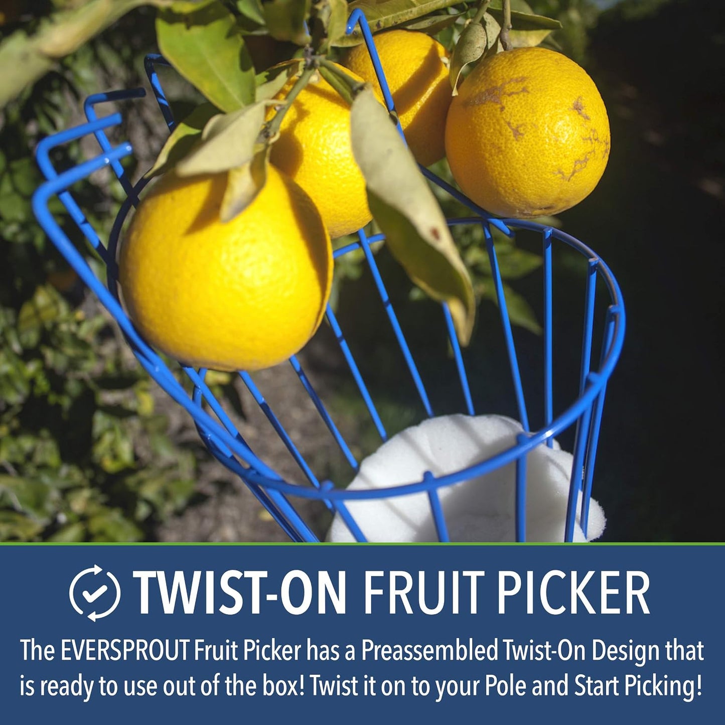 EVERSPROUT 4.5 to 12 Ft Fruit Picker with TwistOn Basket and Extension Pole | Fits 3/4-Inch ACME Poles, Foam-Cushioned Basket, Fits Fruit 1.25 to 5.5 Inches, for Apples, Oranges, Limes, Mangos and More