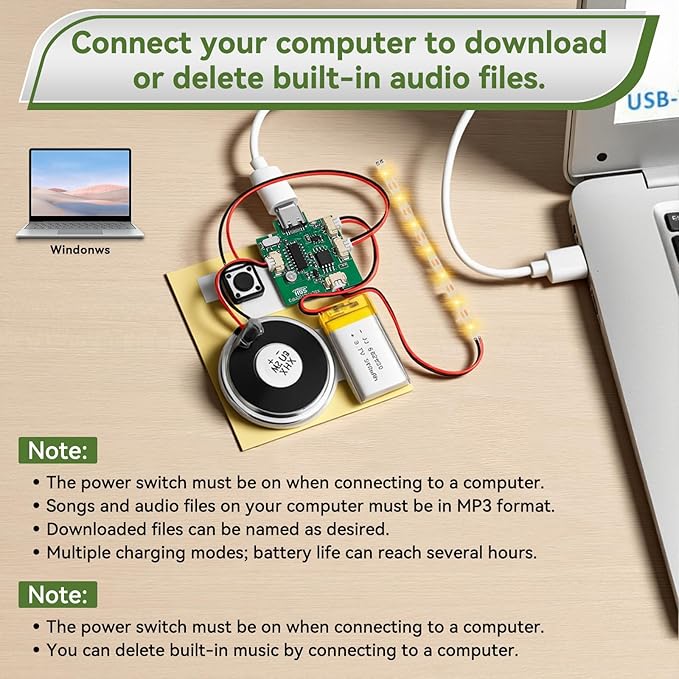 2PCS Customize Recording Module - Image 4