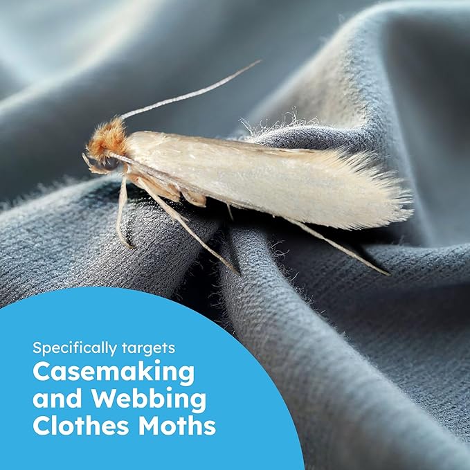 BugMD Clothes & Pantry Moth Traps – Sticky Glue Pheromone-Based Repellent - Image 2