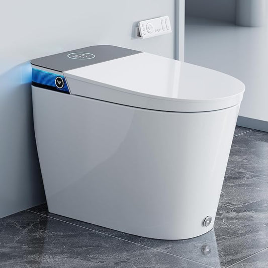 HOROW Artistic Bidet Toilet, Smart Toilet by HOROW