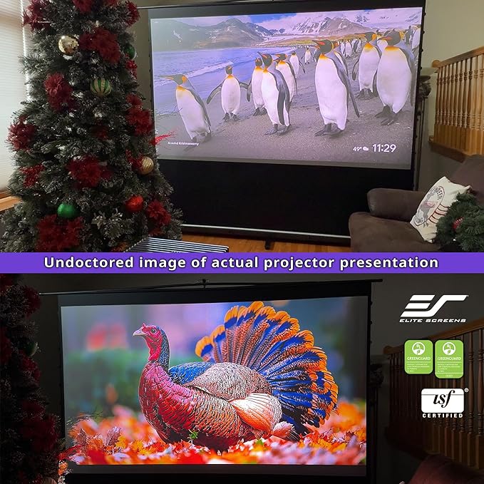 Elite Screens ezCinema Tab-Tension CineGrey 4D, 123-inch 16:9, Manual Floor - Image 9