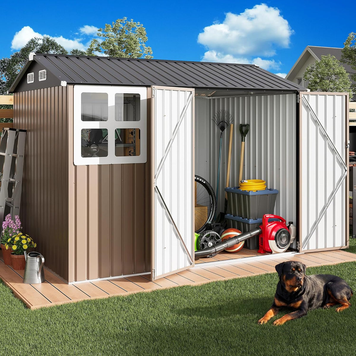 ironck 8x6ft outdoor storage shed with clear window shown in use