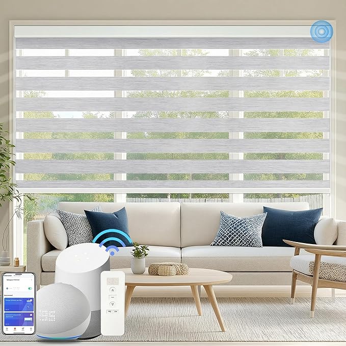 COOLWINDS Motorized Zebra Blinds by Home