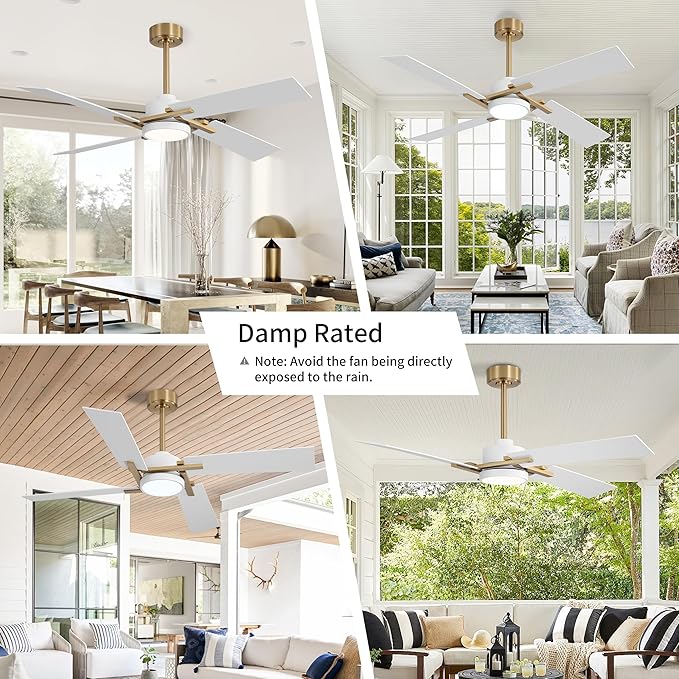 WINGBO 54 Inch Ceiling Fan - Image 8