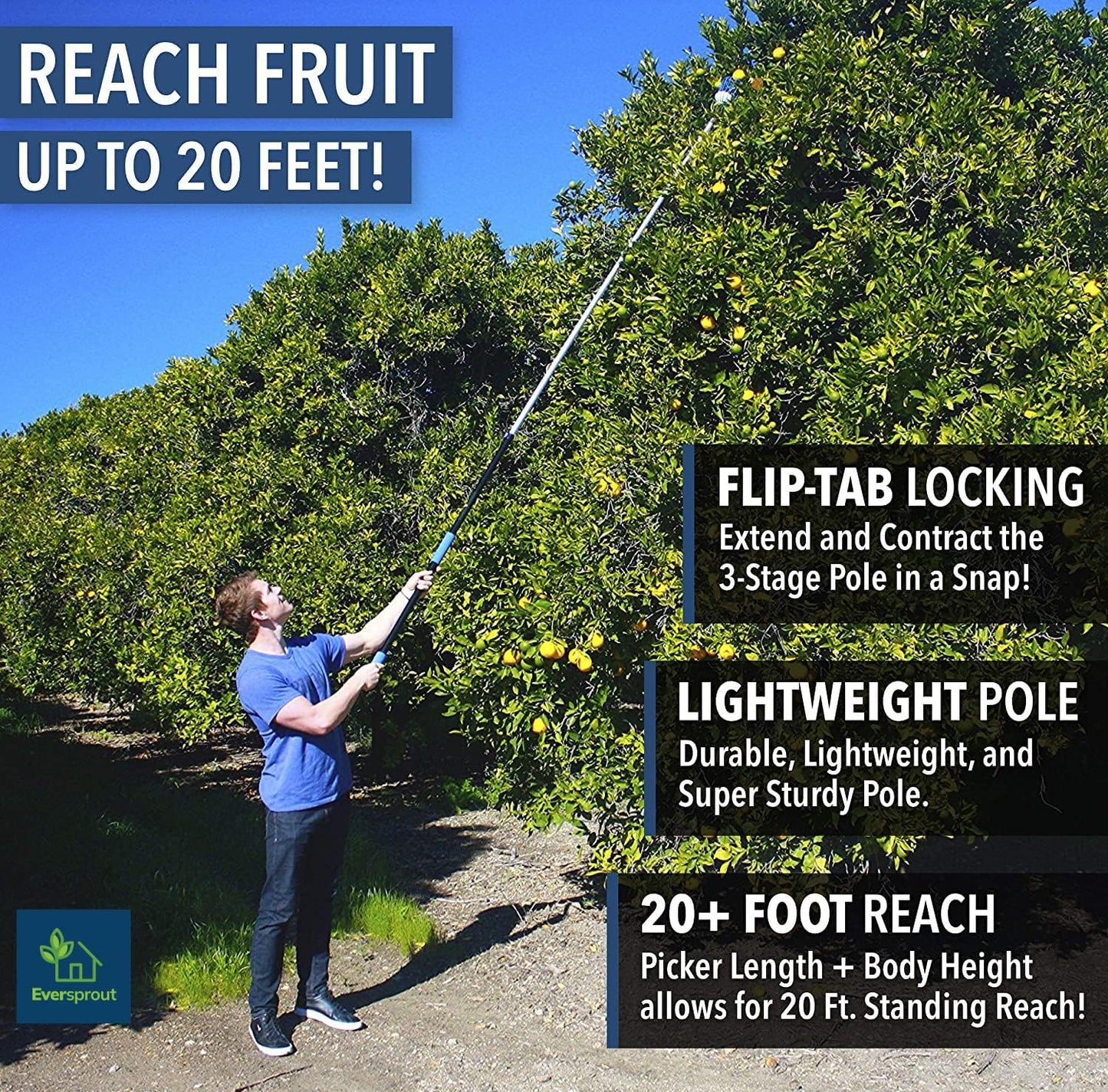 EVERSPROUT 4.5 to 12 Ft Fruit Picker with TwistOn Basket and Extension Pole | Fits 3/4-Inch ACME Poles, Foam-Cushioned Basket, Fits Fruit 1.25 to 5.5 Inches, for Apples, Oranges, Limes, Mangos and More